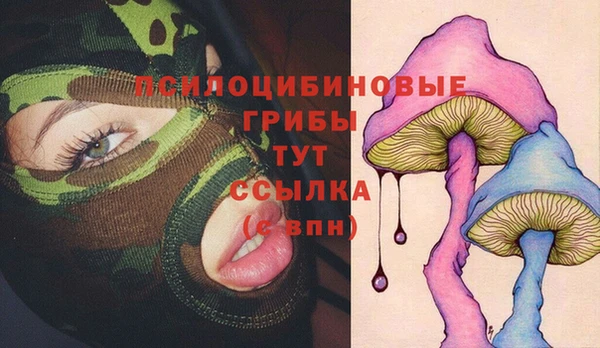 гидропоника Богородск