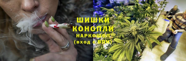 гидропоника Богородск