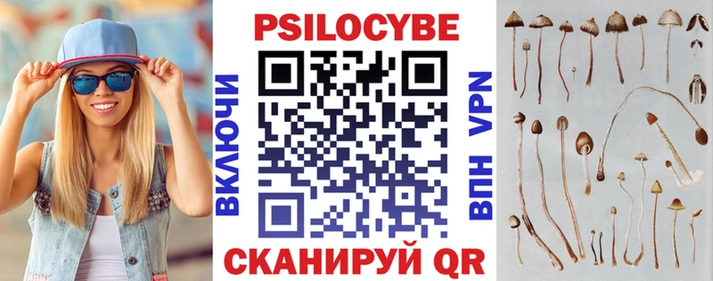 Псилоцибиновые грибы Psilocybine cubensis  Черемхово 